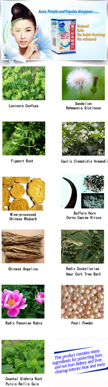 Fufang Zhenzhu Anchuang Pian -For Acne and Pimple Fufang Zhenzhu Anchuang Pian -For Acne and Pimple, Fufang Zhenzhu Anchuang Pian/ Fu Fang Zhen Zhu An Chuang Pian/ Fufangzhenzhuanchuangpian/ Fufang Zhenzhu Anchuang Pills, Heat-clearing and detoxicating, cooling blood, promoting coronary circulation. (Qing Ren Jie Du, Ling Xue Tong Mai). It is used for Acne, Eczema Papules and Dermatitis., Lonicera Japonica, Dandelion, Angelica. (Jinyinhua, Pugongying, Danggui and so on.)
